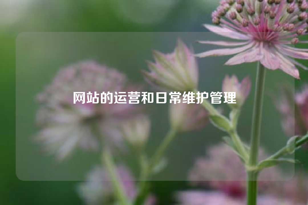 网站的运营和日常维护管理